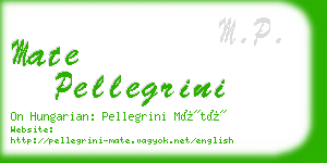 mate pellegrini business card